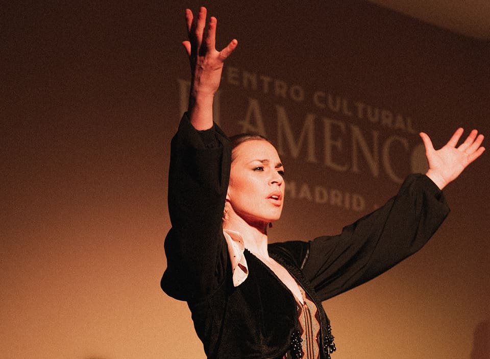 centro cultural de flamenco madrid