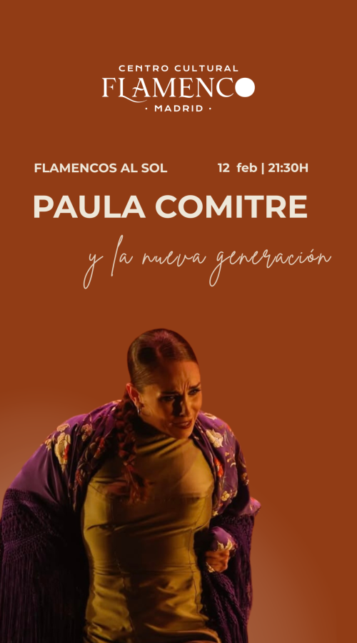 FLAMENCOS AL SOL PAULA COMITRE historia